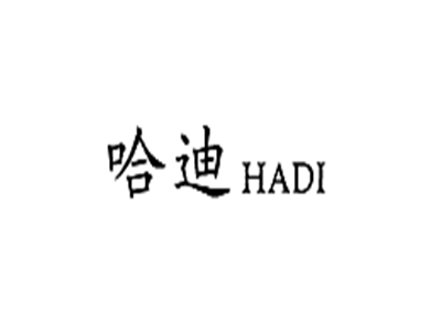 哈迪+HADI