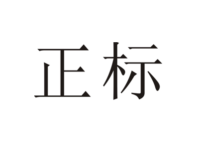 正标