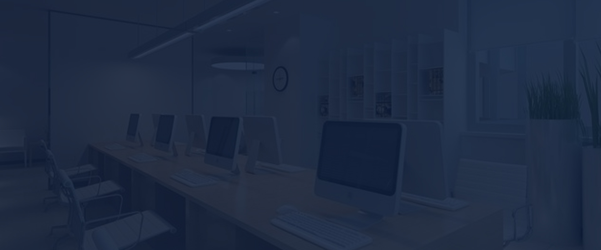 版权业务 版权业务